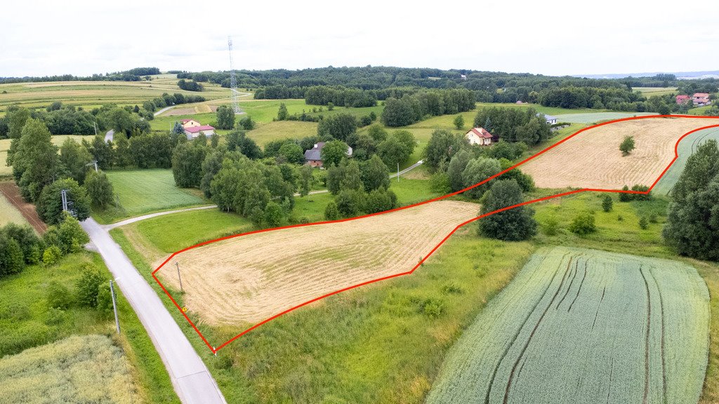 Działka budowlana na sprzedaż Niechobrz  18 300m2 Foto 2