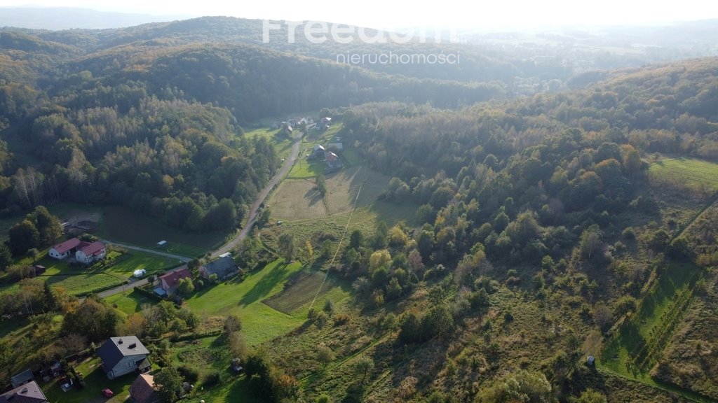 Działka budowlana na sprzedaż Faliszówka  10 300m2 Foto 4