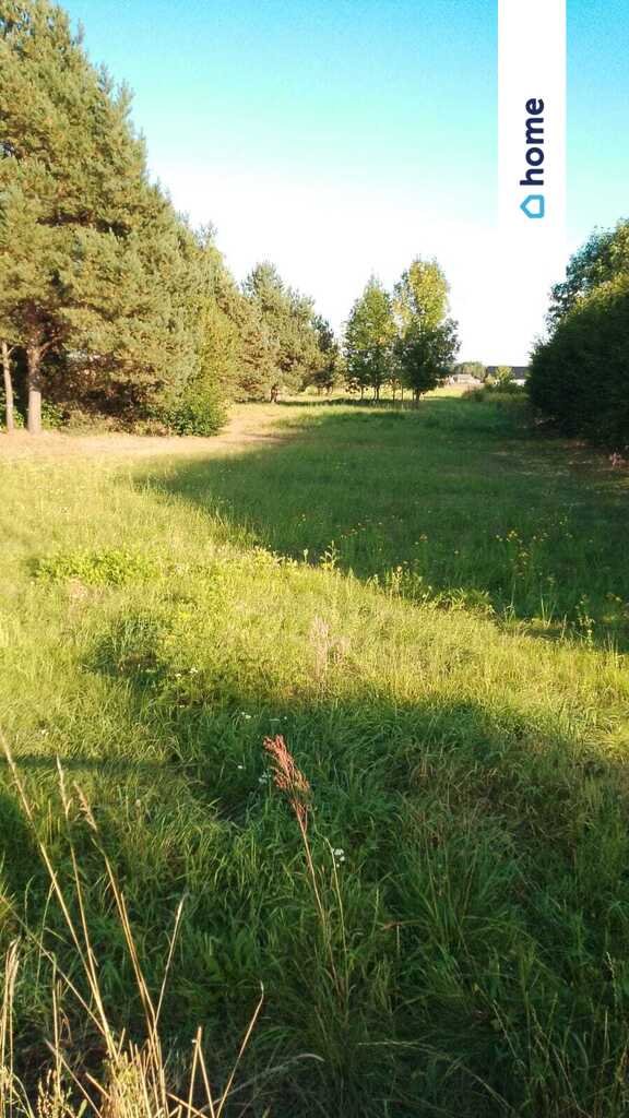 Działka budowlana 2500 m² z mediami, asfaltowy dojazd Jełowa, Opolska  2 500m2 Foto 1