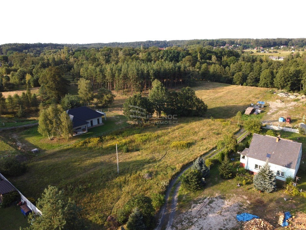 Działka budowlana na sprzedaż Ławszowa  3 100m2 Foto 2