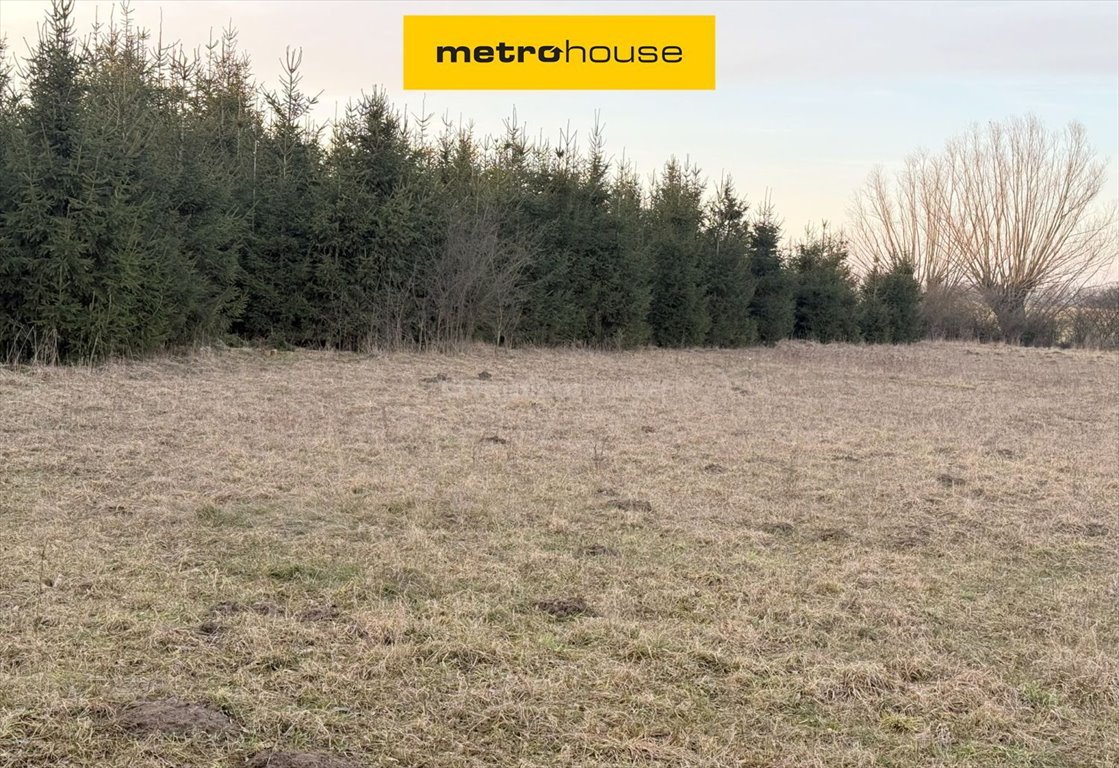 Działka rolnobudowlana 5600 m² z warunkami zabudowy - polecam! Koszajec  5 600m2 Foto 1