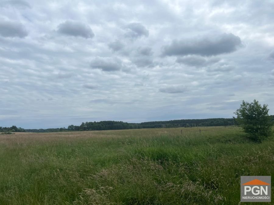 Działka rolna 2,74ha z dostępem do rzeki - polecam! Ościęcin  27 400m2 Foto 1