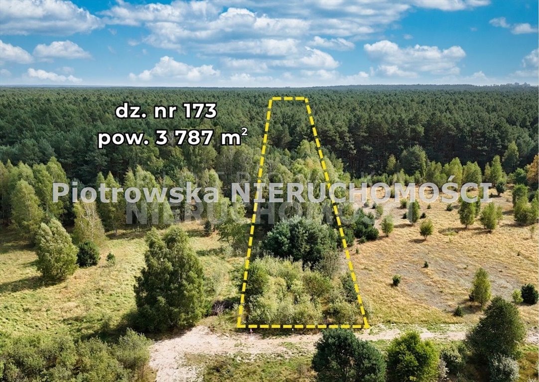 Działka 3,8 ha z lasem i zabudową mieszkaniową Strumiany  3 787m2 Foto 1