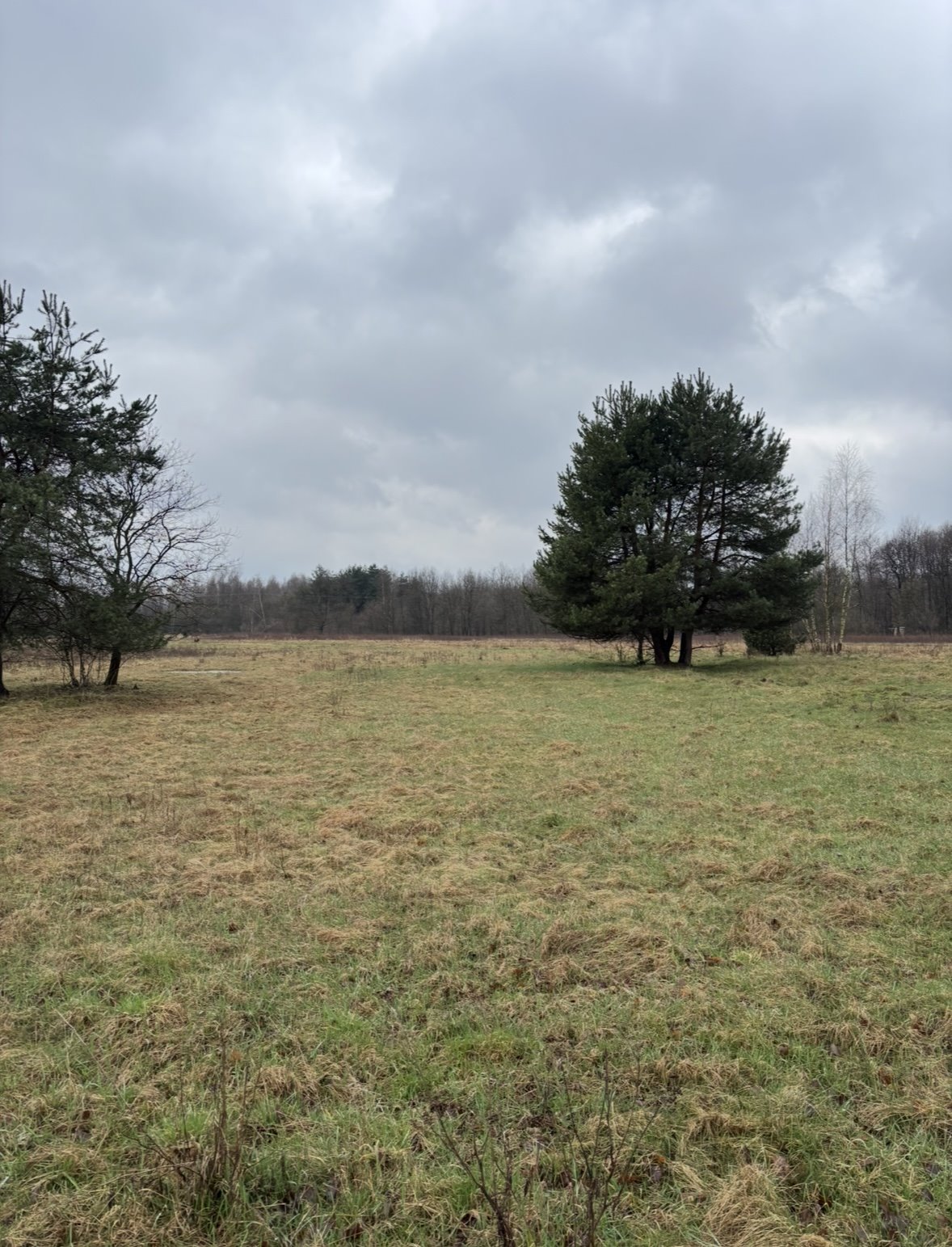 Działka 3,2 ha z mediami, spokojna okolica, dojazd asfalt Przeginia Narodowa  3 200m2 Foto 1