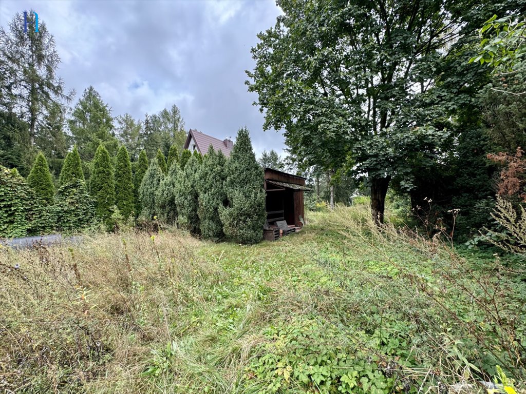 Działka budowlana na sprzedaż Kazimierz, Spacerowa  1 380m2 Foto 5