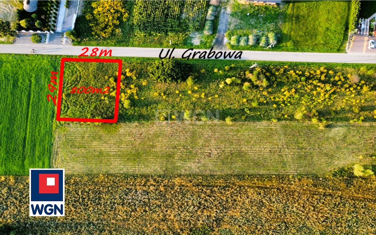 Działka budowlana na sprzedaż Pińczyce, Grabowa  800m2 Foto 3