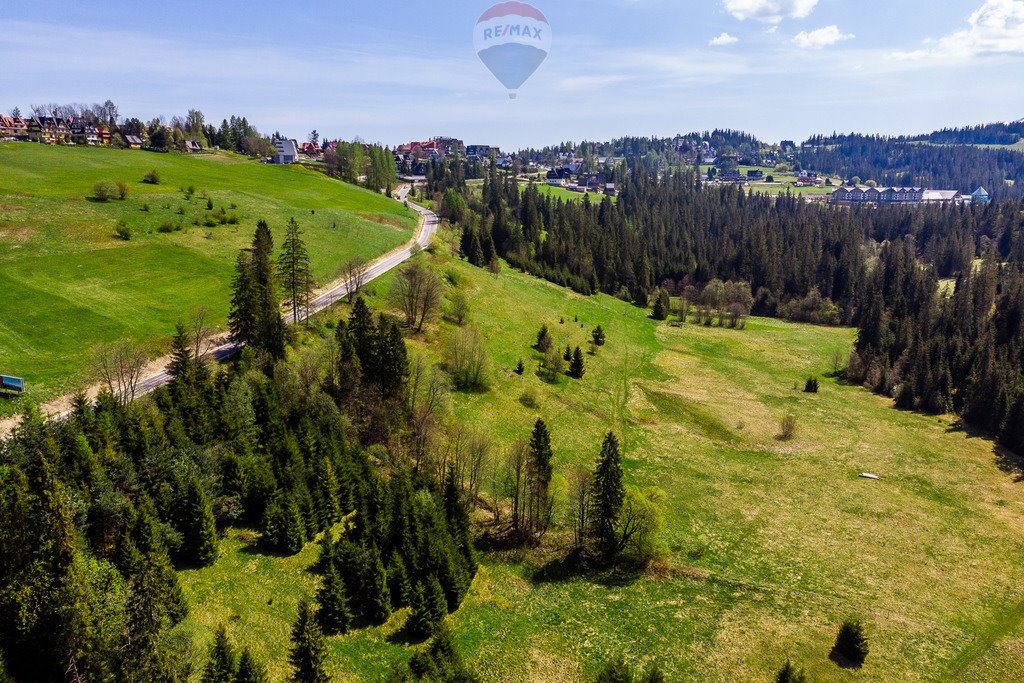 Działka rolna na sprzedaż Bukowina Tatrzańska  2 944m2 Foto 13