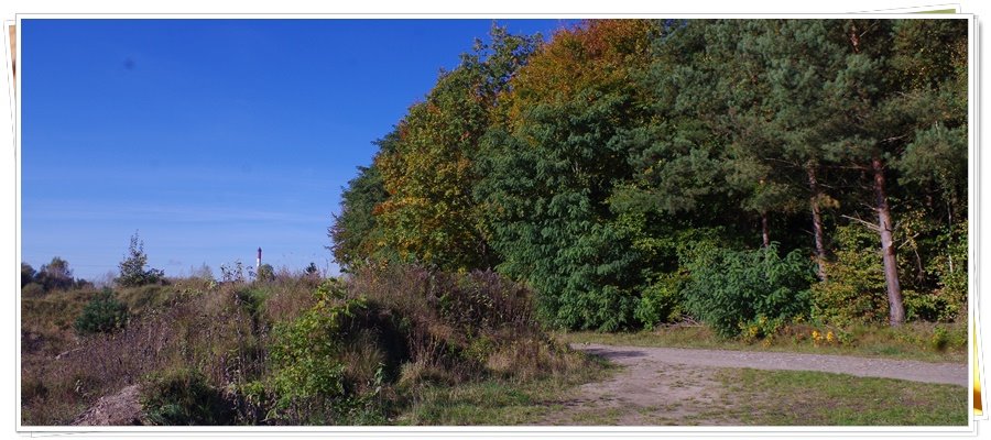 Działka rolna na sprzedaż Wejherowo, Śmiechowo, Fenikowskiego  8 970m2 Foto 9