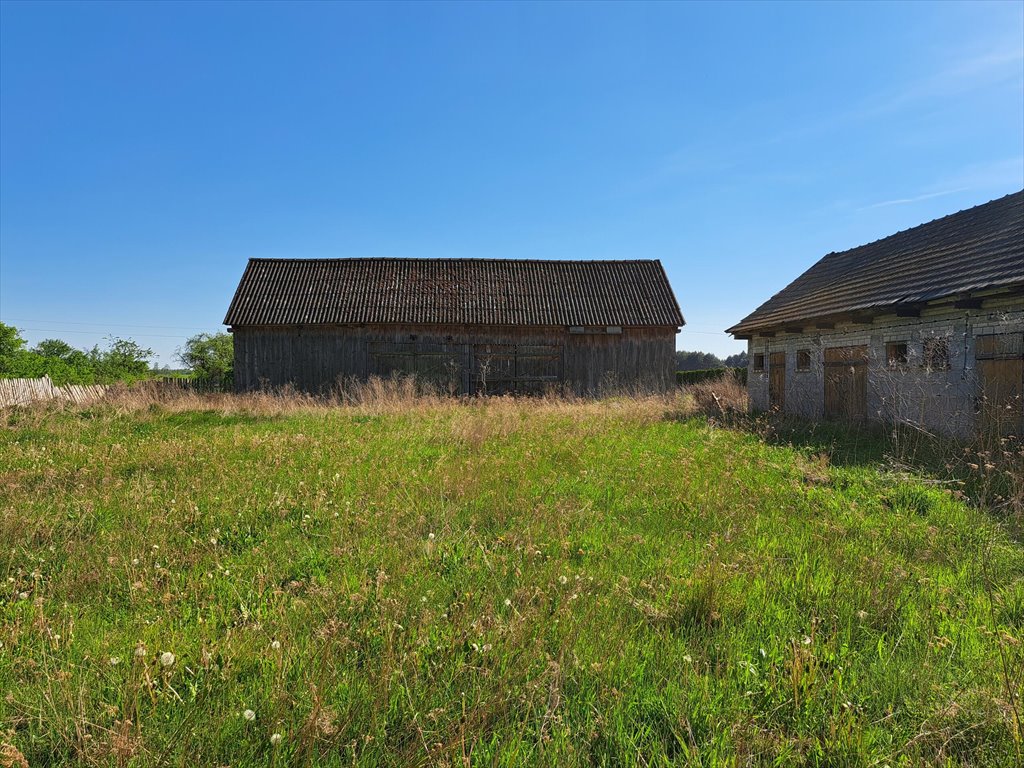 Dom na sprzedaż Płasków  250m2 Foto 6