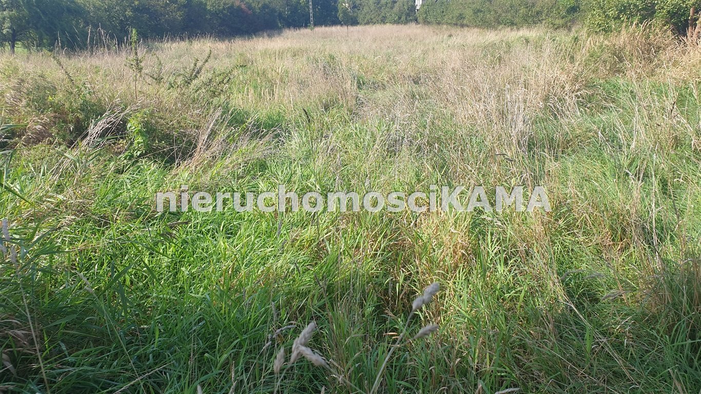 Polecam działkę 5794 m² z dostępem do mediów i utwardzeniem Bielsko-Biała, Komorowice Krakowskie  5 794m2 Foto 1