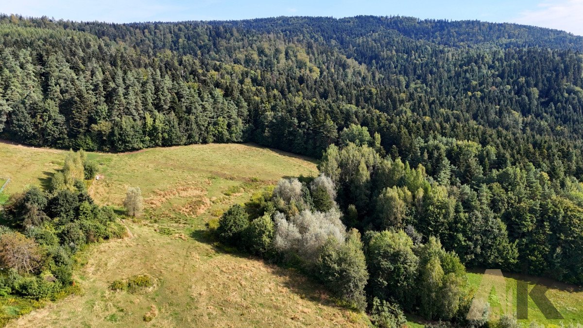 Działka rekreacyjna na sprzedaż Bartkowa-Posadowa  21 556m2 Foto 4