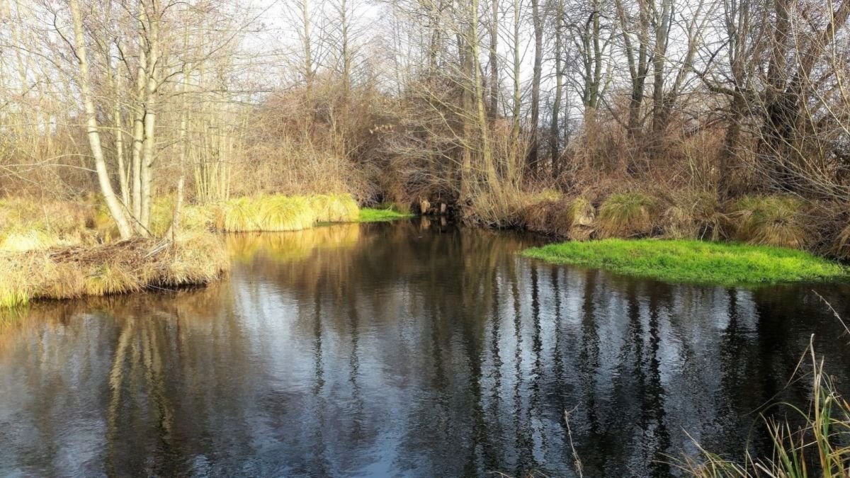 Działka rolna na sprzedaż Lubin  35 672m2 Foto 1