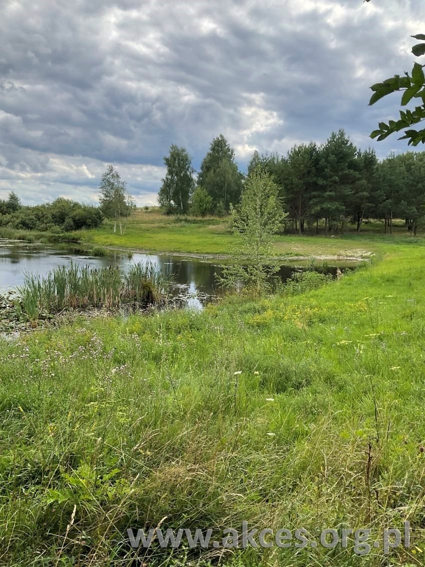 Działka 37 700 m² z linią jeziora i warunkami zabudowy Grzegrzółki  37 700m2 Foto 1