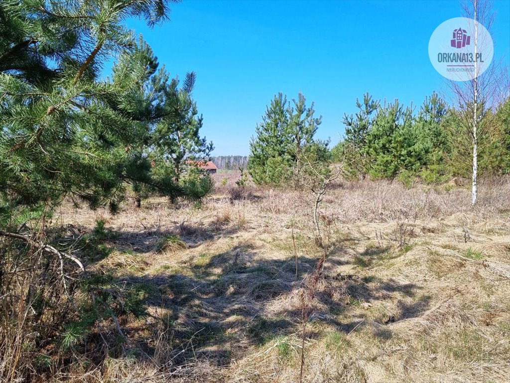 Działka budowlana na sprzedaż Biesówko, Biesówko  5 771m2 Foto 8