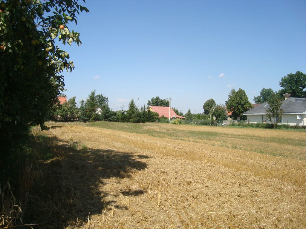 Działka budowlana na sprzedaż Szymanów  1 500m2 Foto 10