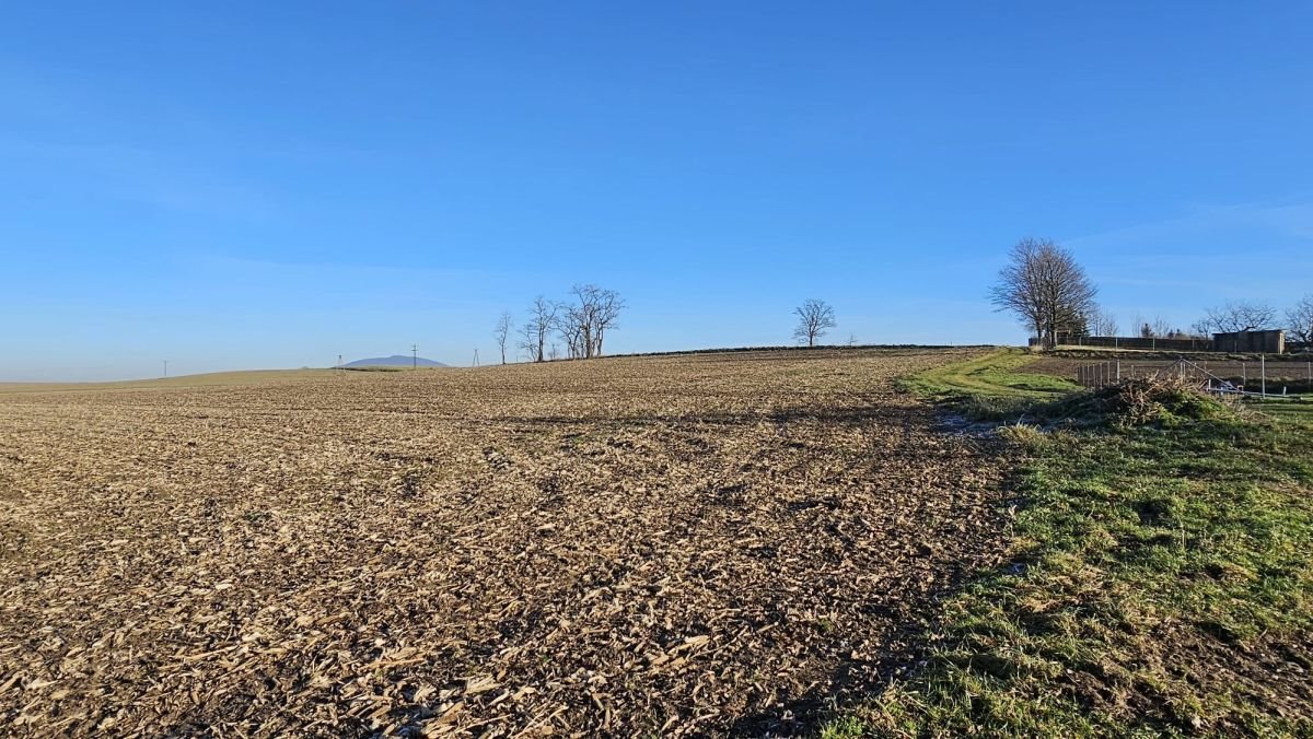 Działka siedliskowa na sprzedaż Krzczonów  8 400m2 Foto 12