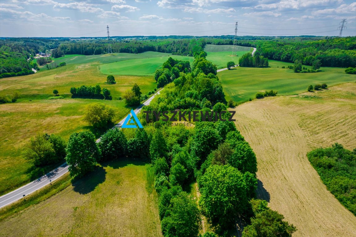 Działka budowlana 6100 m² z warunkami zabudowy, Tuchomie Tuchomie  6 100m2 Foto 1