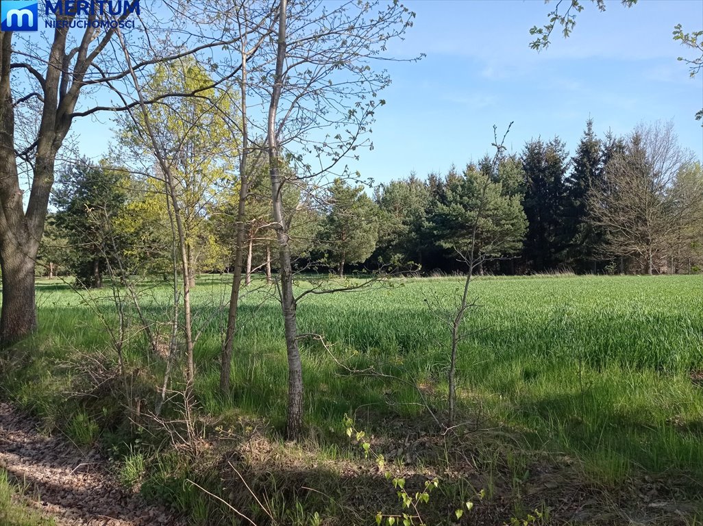 Działka 1600 m2 pod zabudowę w Ojrzanowie, blisko Warszawy Ojrzanów  1 630m2 Foto 1