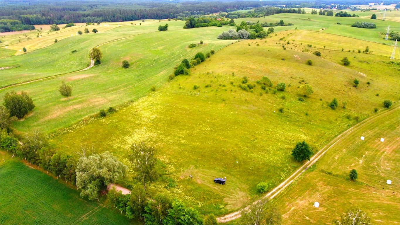 Działka budowlana na sprzedaż Wężówka  3 502m2 Foto 2