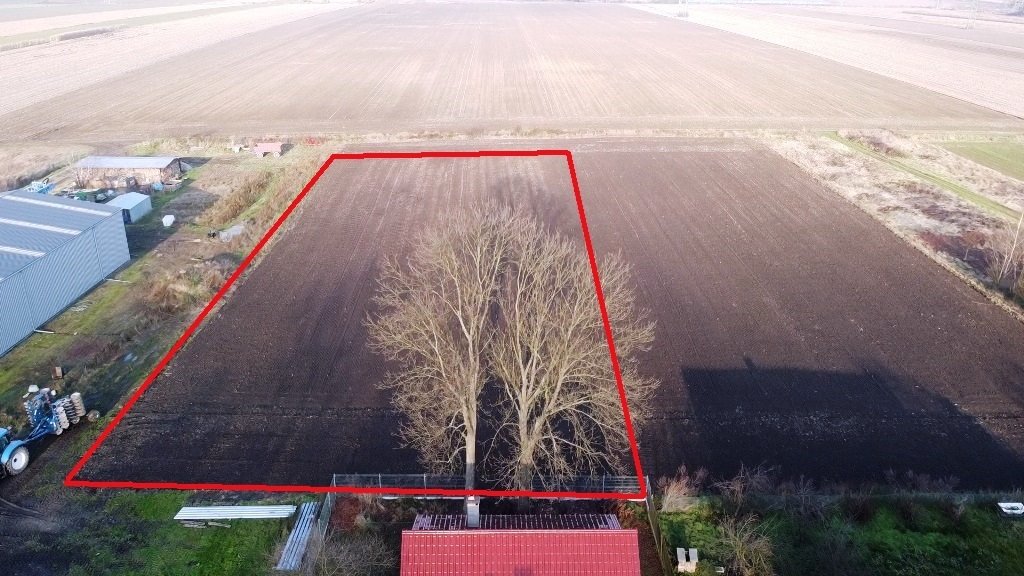 Działka siedliskowa na sprzedaż Kurznie  3 000m2 Foto 1