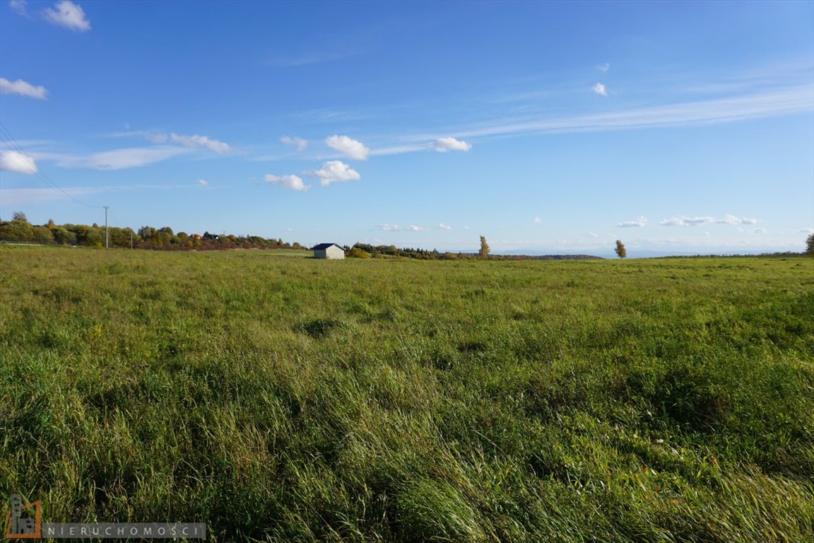 Polecam działkę rolną 54 arów w Łazach blisko Parku Krajobrazowego Łazy  5 426m2 Foto 1