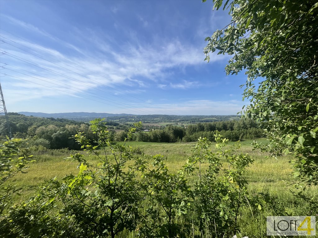 Działka inna na sprzedaż Zabłędza  6 300m2 Foto 6