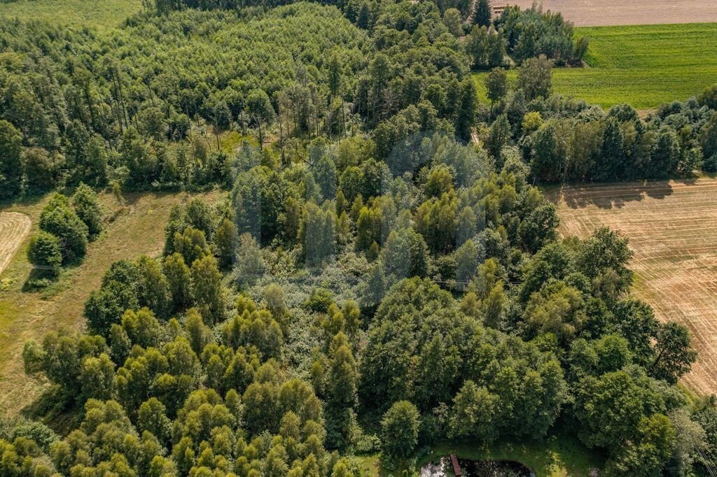 Działka budowlana na sprzedaż Rowy  6 400m2 Foto 8