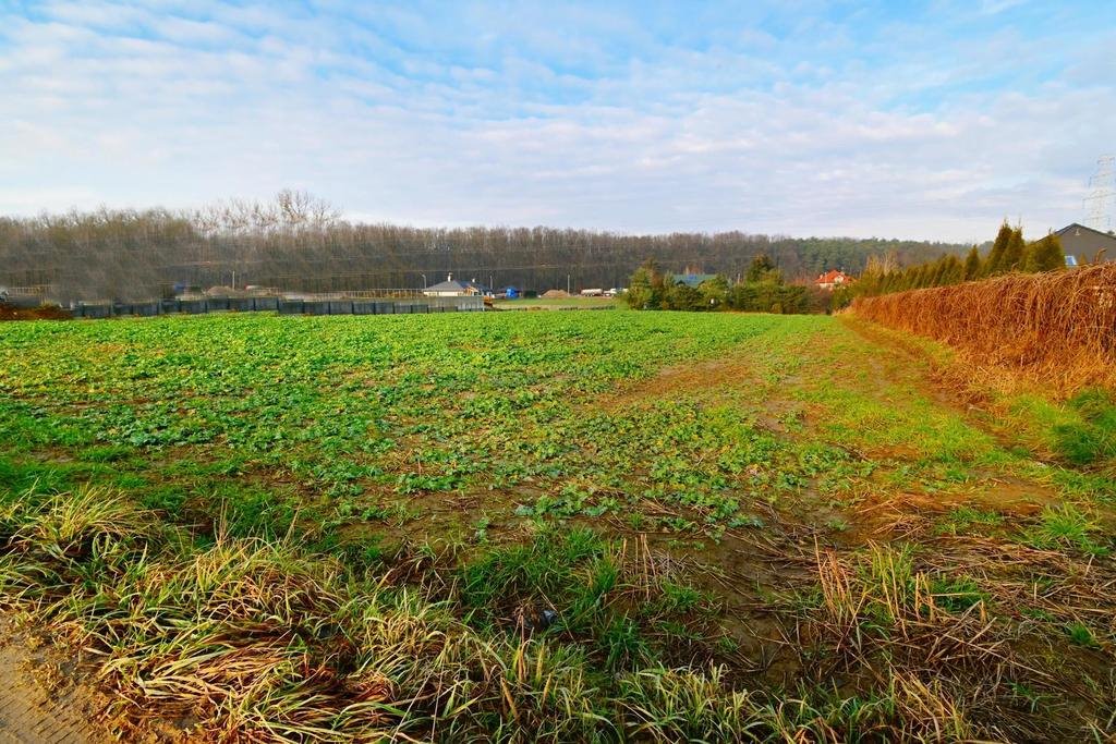 Działka 18 ar z warunkami pod dom w spokojnej okolicy Lublin, Zemborzyce  1 800m2 Foto 1