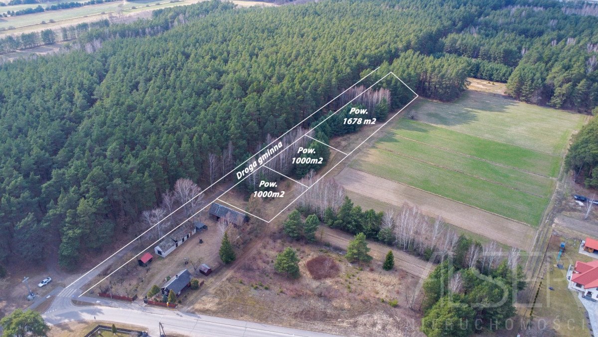 Działka budowlana 1000 m2 z lasem, blisko S8, cisza Przyjmy k. Poręby  1 000m2 Foto 1