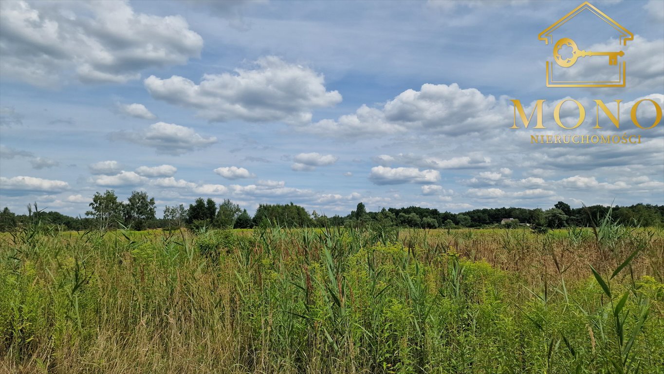 Działka budowlana na sprzedaż Piasek Wielki  26 800m2 Foto 9