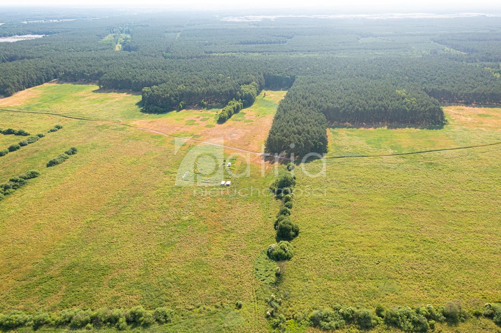 Zapraszam do zakupu działki rolnej 3167 m² w otulinie Puszczy Goleniowskiej Komarowo  3 167m2 Foto 1