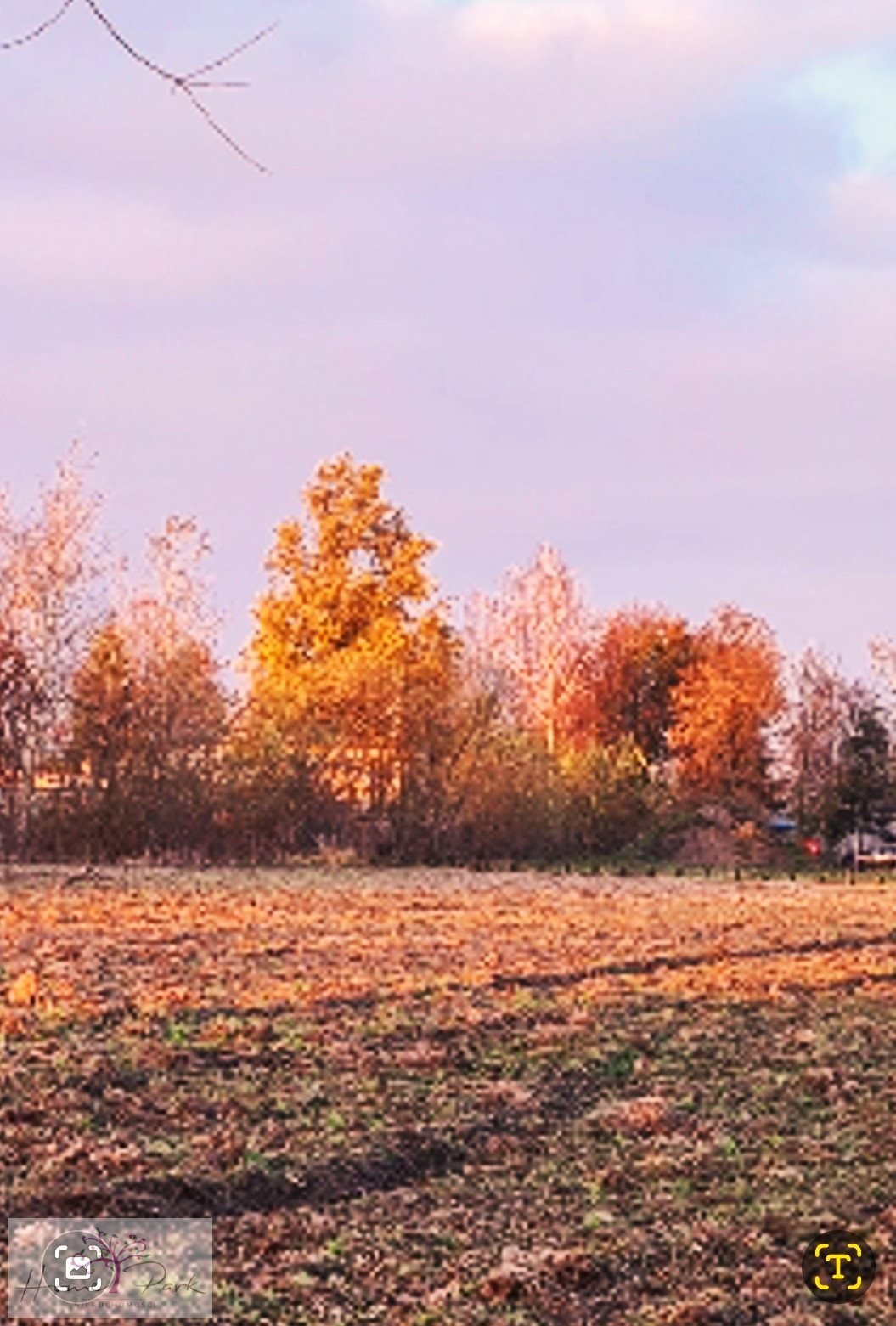 Działka budowlana na sprzedaż Feliksów  1 240m2 Foto 9