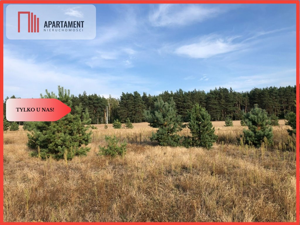 Działka budowlana w Tarkowie Dolnym – las, cisza, media Tarkowo Dolne  902m2 Foto 1