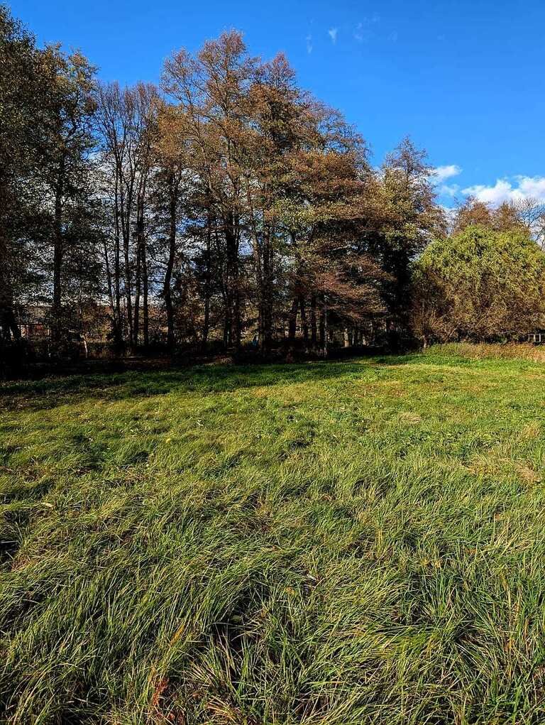 Działka inna na sprzedaż Stary Wielisław  1 337m2 Foto 1