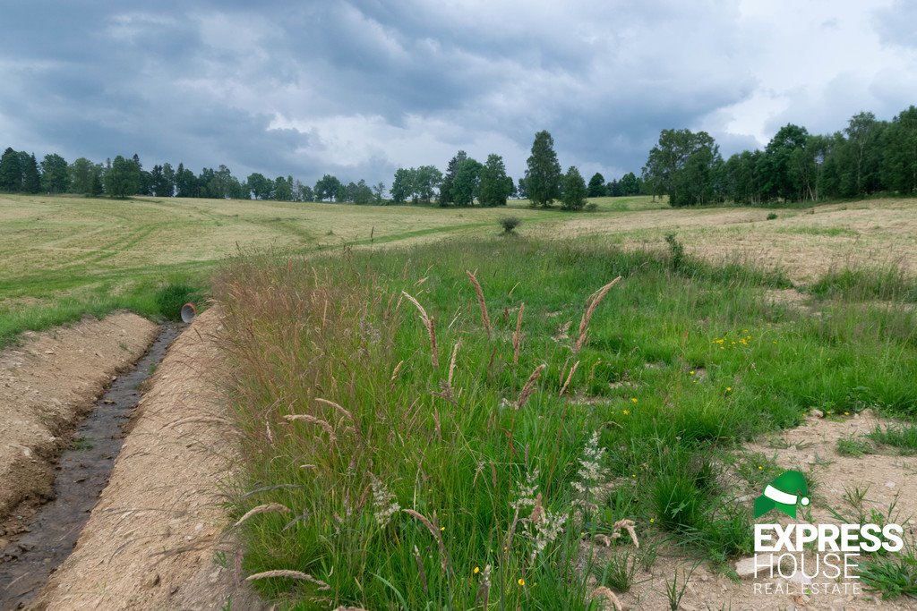 Działka budowlana na sprzedaż Stronie Śląskie, Polna  2 617m2 Foto 10