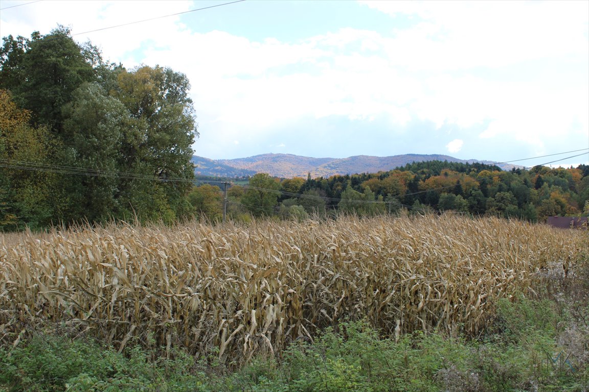 Działka budowlana na sprzedaż Kierlikówka  1 788m2 Foto 1