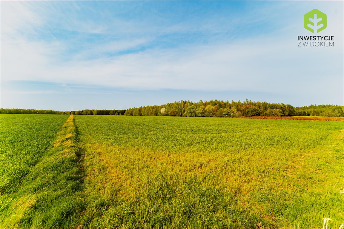 Działka budowlana na sprzedaż Radomsko, Kompleks działek budowlanych przy lesie i asfalcie blisko Radomska  700m2 Foto 8