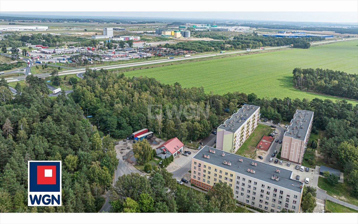 Lokal użytkowy na sprzedaż Szczytnica, Centrum  267m2 Foto 11