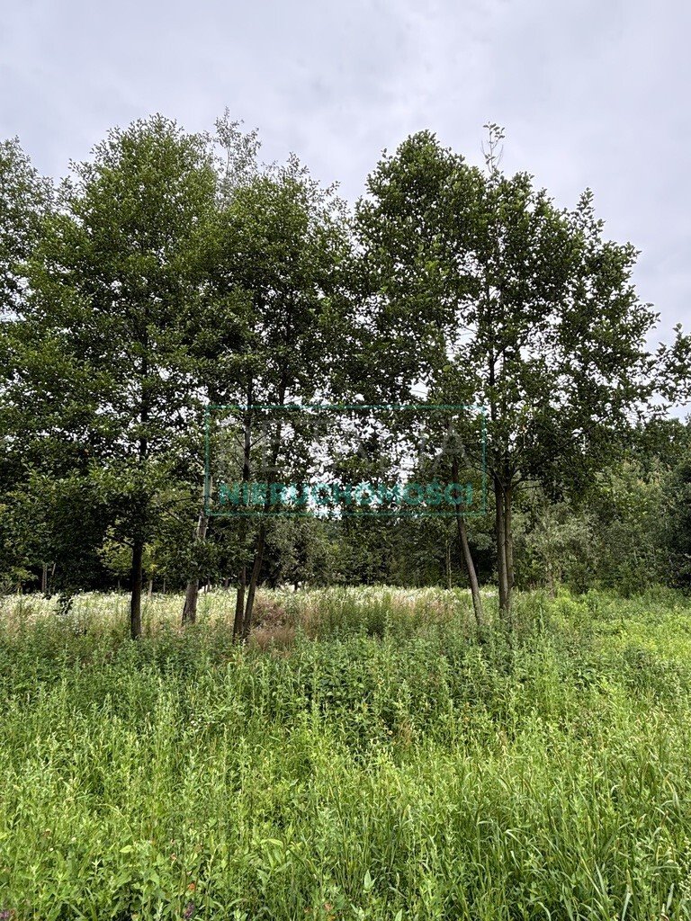 Działka z lasem pod dom marzeń, 8 303 m2, media, MPZP Mościska  8 303m2 Foto 1