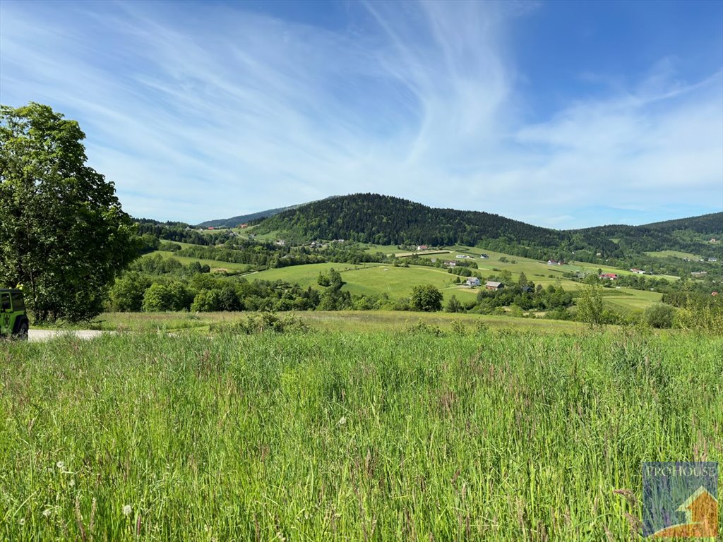 Działka budowlana na sprzedaż Skrzydlna  7 400m2 Foto 1