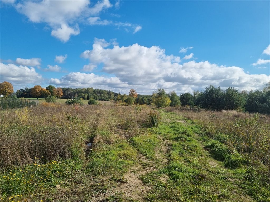 Działka budowlana na sprzedaż Nekla  1 340m2 Foto 1