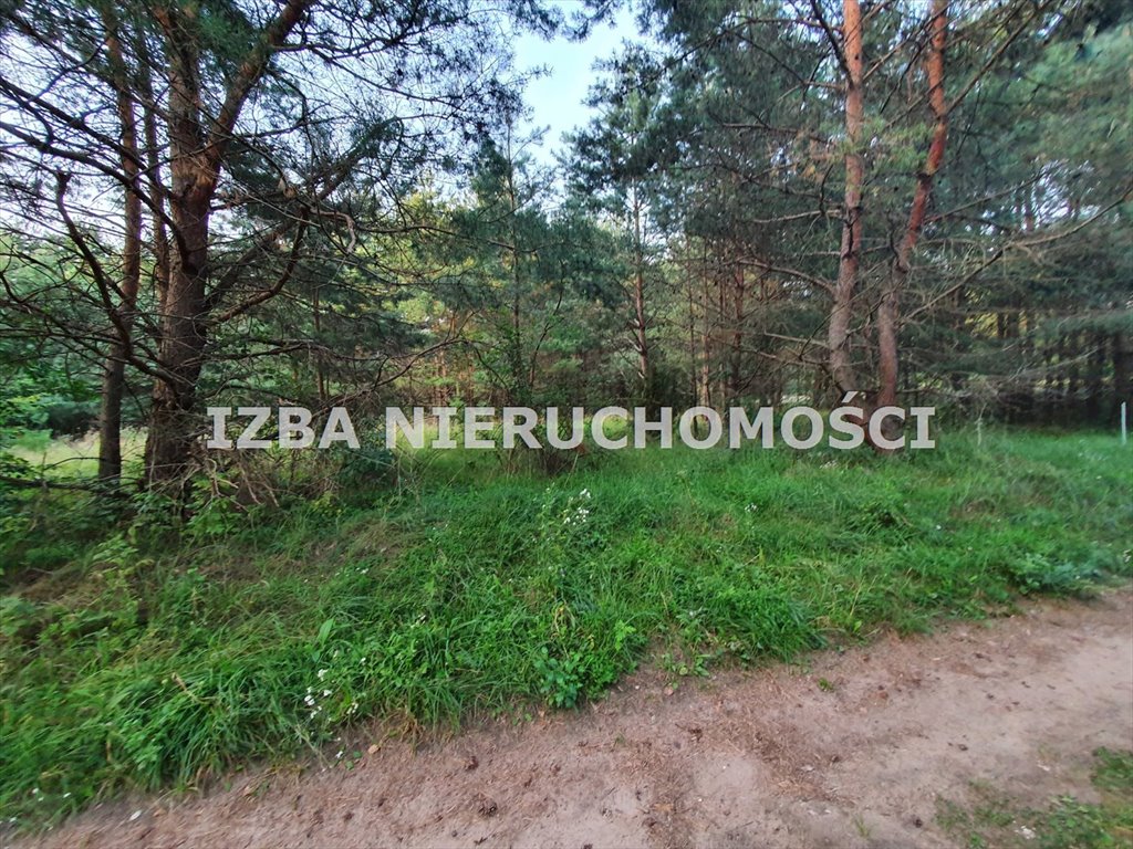 Działka rekreacyjna na sprzedaż Barany  3 001m2 Foto 4