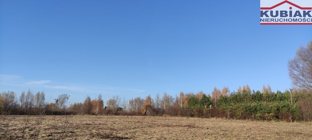 Działka budowlana na sprzedaż Krosna-Wieś  4 800m2 Foto 1