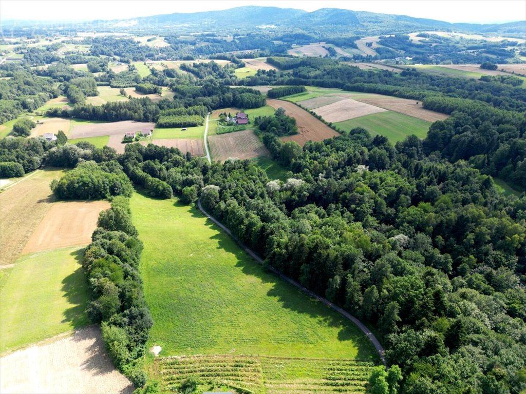 Działka budowlana na sprzedaż Błażkowa  2 559m2 Foto 13