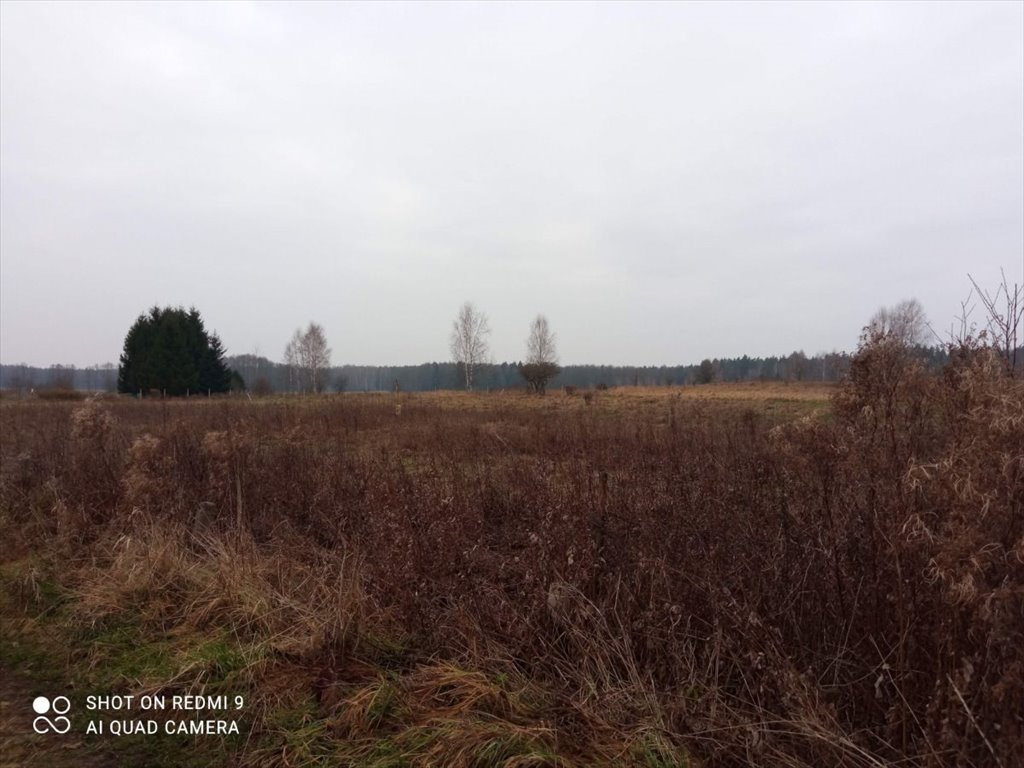 Działka gospodarstwo rolne na sprzedaż Przechody  4 200m2 Foto 2