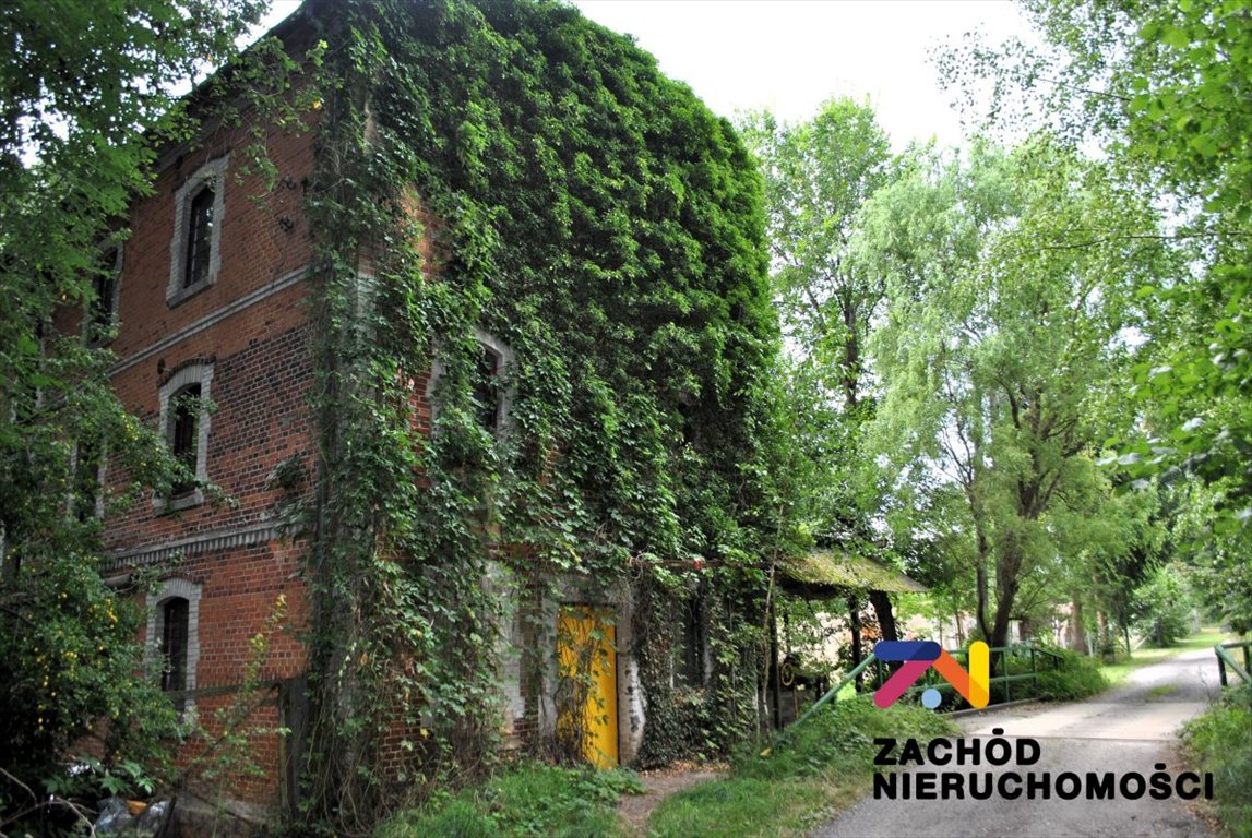 Zabytkowy młyn wodny z turbiną i 3 działkami w Nowym Młynie Słonów, Nowy Młyn  330m2 Foto 1