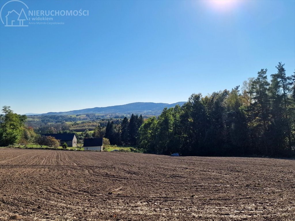 Działka budowlana na sprzedaż Błażkowa  2 200m2 Foto 6