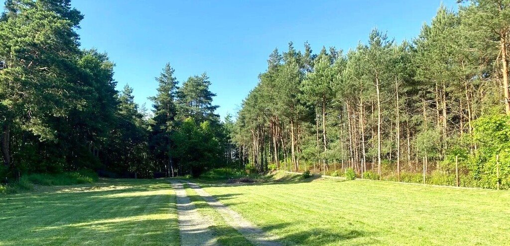 Działka budowlana na sprzedaż Skrzeszew, Partyzantów  1 000m2 Foto 4