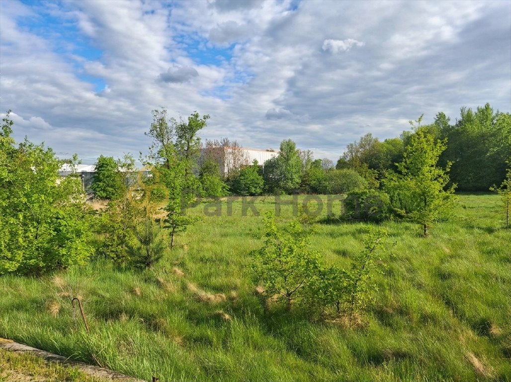 Na sprzedaż przestronna działka 4131 m² w spokojnej okolicy Wymiarek Wymiarki  4 131m2 Foto 1