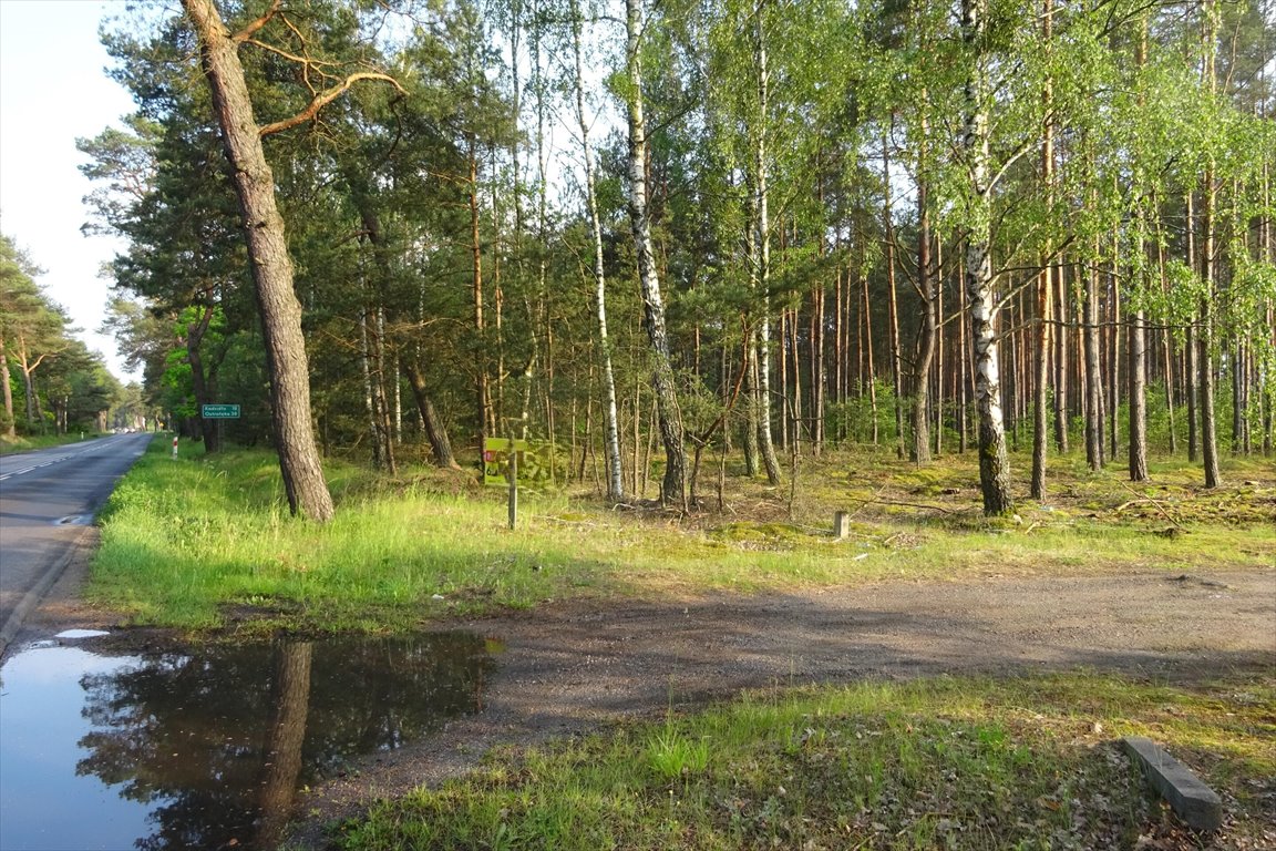 Działka leśna na sprzedaż Myszyniec  3m2 Foto 1